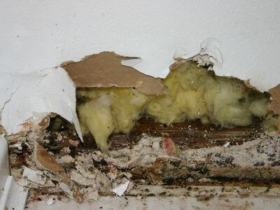 About water damage cleanup - ceiling water damage repair experts in Minneapolis